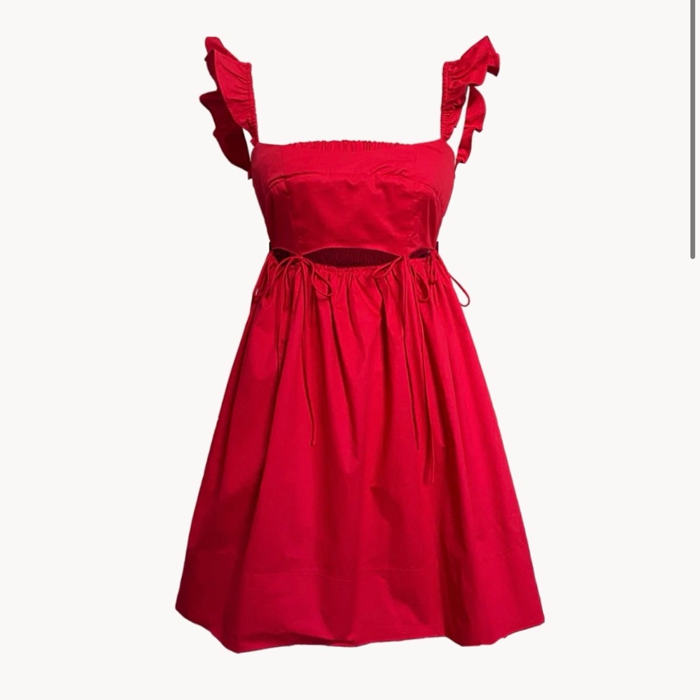 🍓Allina Liu Tamago Dress- XL